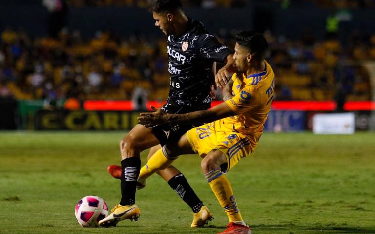 Necaxa visita a los Tigres de la UANL en repechaje - El Sol del Centro |  Noticias Locales, Policiacas, sobre México, Aguascalientes y el Mundo