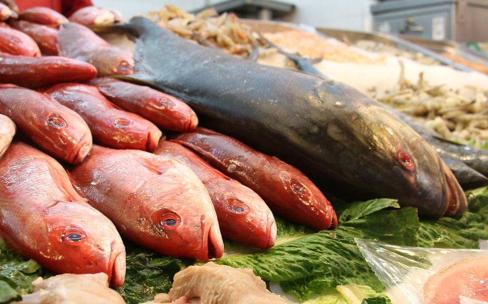 El pescado lisa, la mejor opción en cuaresma - El Sol del Centro | Noticias  Locales, Policiacas, sobre México, Aguascalientes y el Mundo