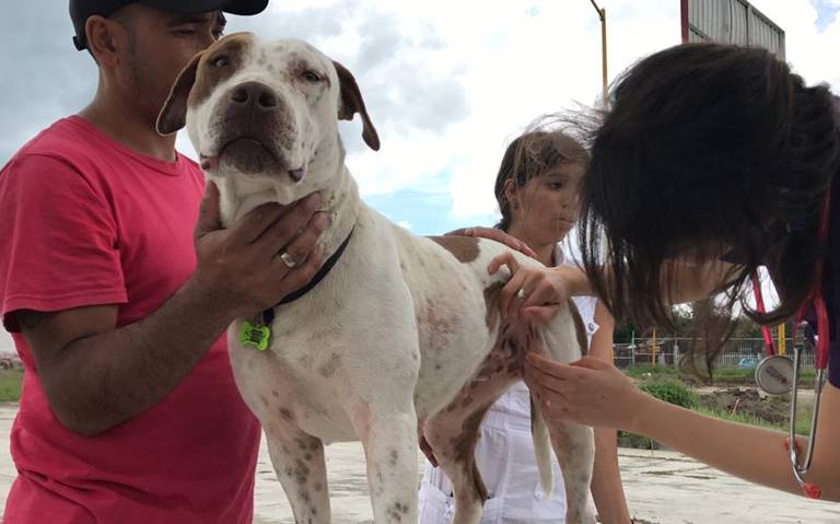 Pro Animal prepara una navidad canina en comunidades rurales - El Sol del  Centro | Noticias Locales, Policiacas, sobre México, Aguascalientes y el  Mundo