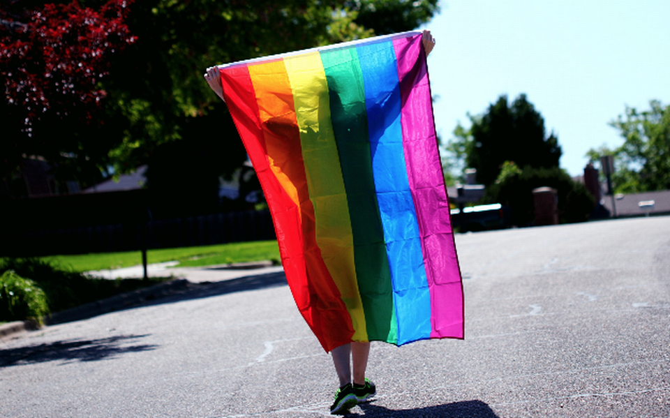 Significado de las banderas de la comunidad LGBTIQ+ - El Sol del Centro   Noticias Locales, Policiacas, sobre México, Aguascalientes y el Mundo